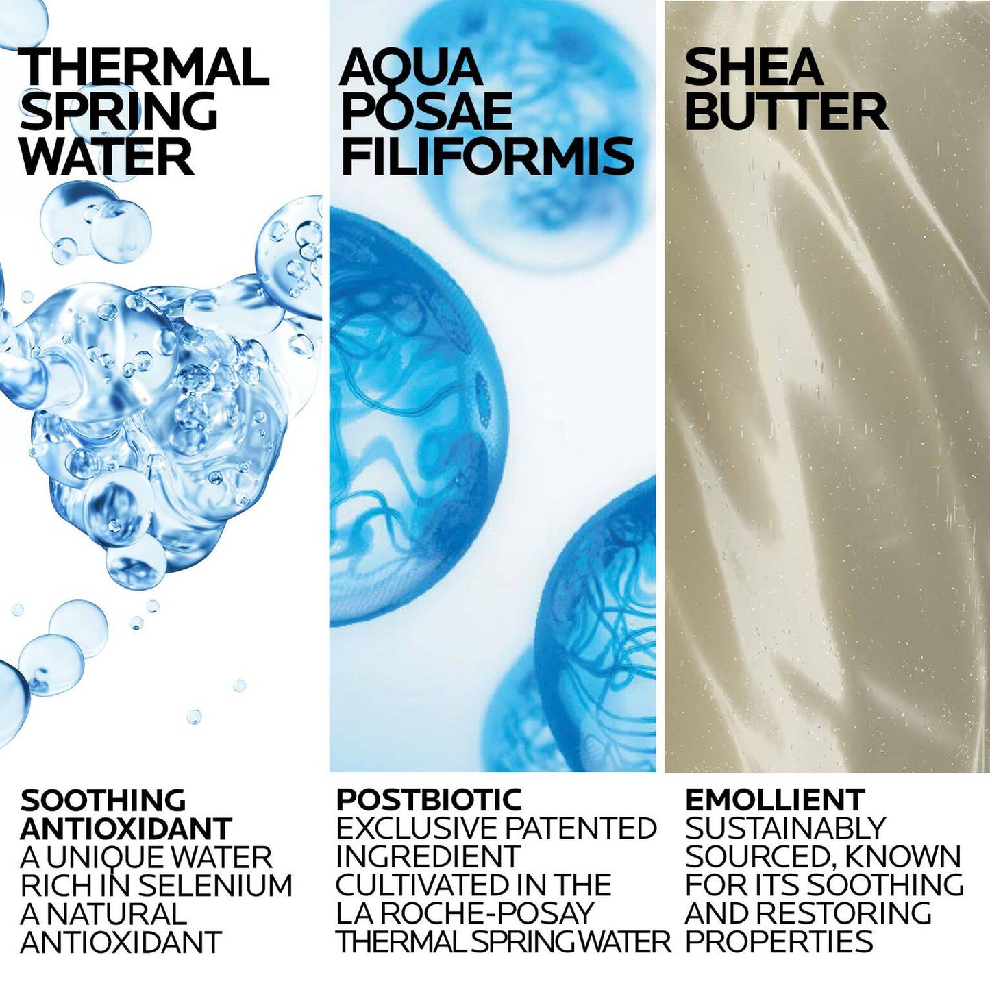 lipikar-wash-ap-moisturizing-body-and-face-wash-z3 Lipikar-Wash-ingredients_1500x1500-REV.jpg